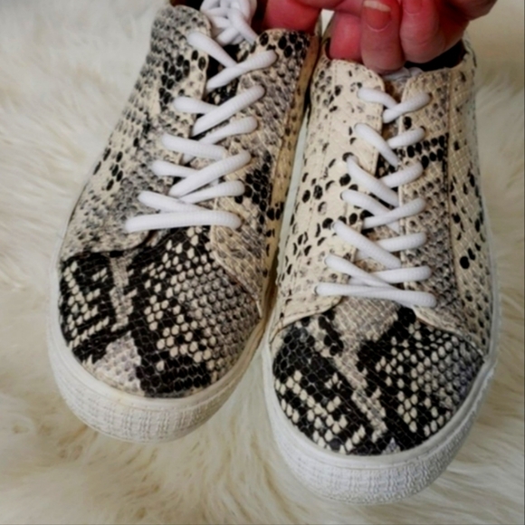 Steve Madden Oleta PU Leather Snakeskin Sneakers Coated Leather Womens Summer - Picture 4 of 12